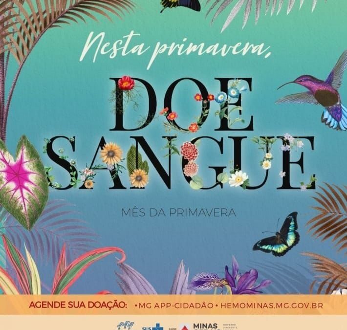 Doe sangue!